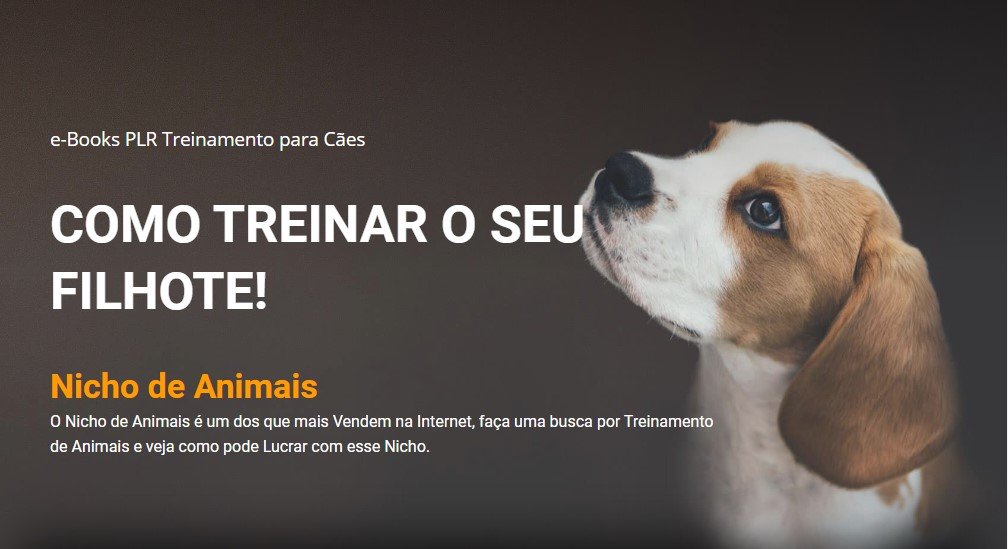 modelo página de vendas treinamento cães